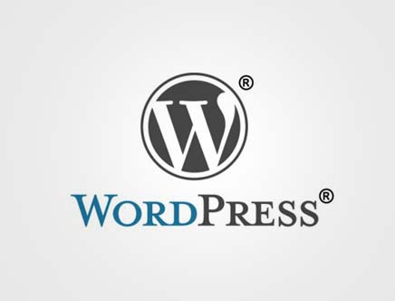 怎样显示或去掉wordpress标签云显示文章数量